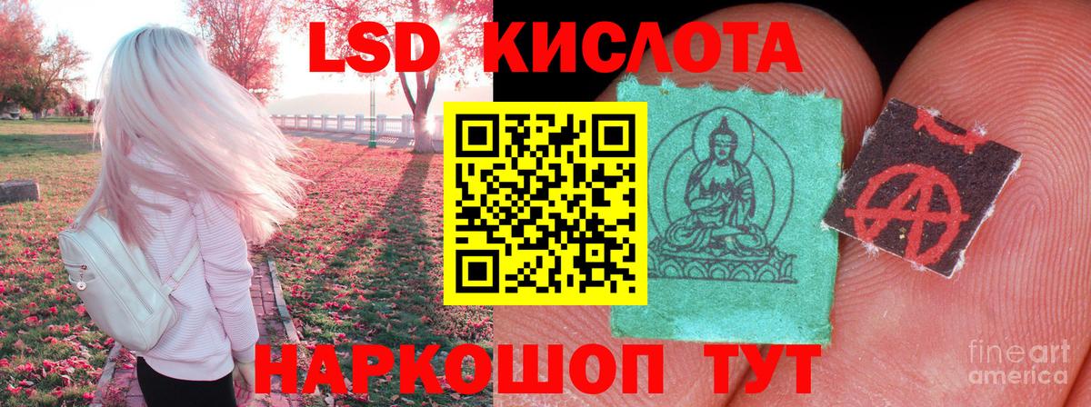 Новороссийск  Лсд 25 экстази кислота  LSD-25 экстази  Вход с VPN 