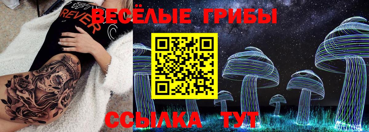 Псилоцибиновые грибы MAGIC MUSHROOMS Новороссийск
