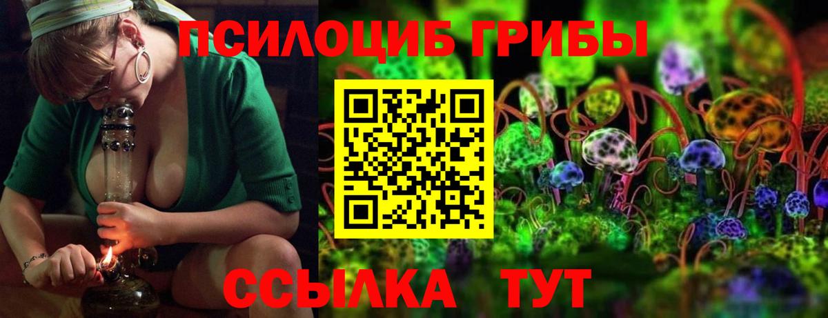 Новороссийск  Галлюциногенные грибы Magic Shrooms  Вход с VPN 